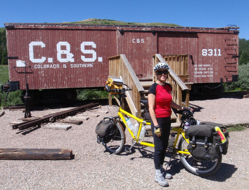 Terry and the Bee at Boreas Pass, Colorado.